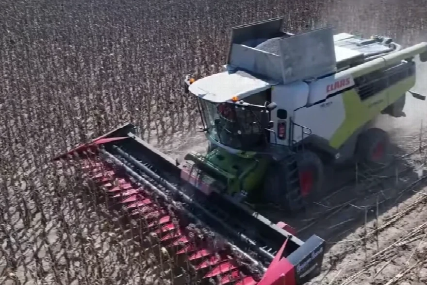 Pšenica, Ječam, Uljana Repica, Soja, Suncokret, Kukuruz, CLAAS Lexion 5400, kombajn za svaki usev! 