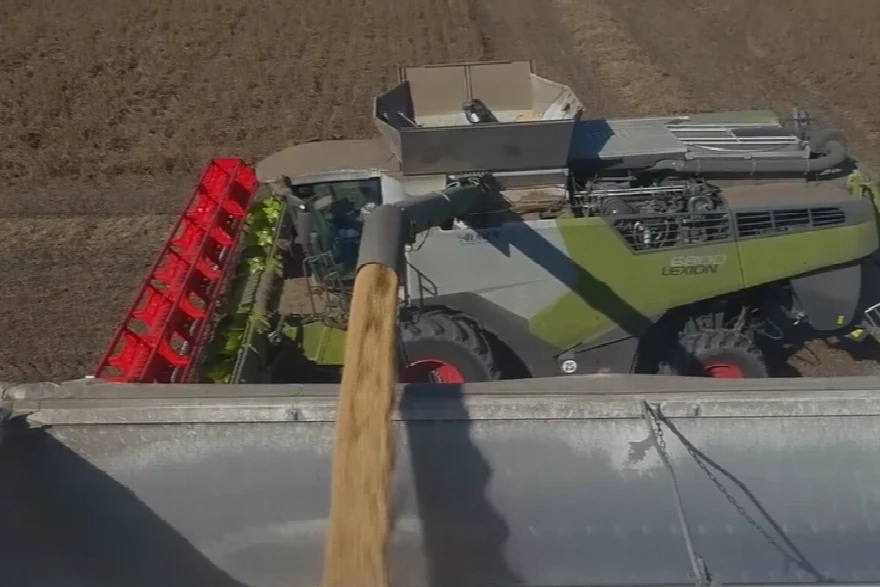 Ovo još niste videli: DVA BRATA Lexion-a 6800 u žetvi soje 