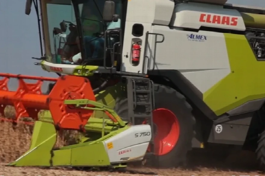 NEMA Gubitaka i Skida Soju OČAS Posla - ova MAŠINA je Najbolja za žetvu SOJE! 