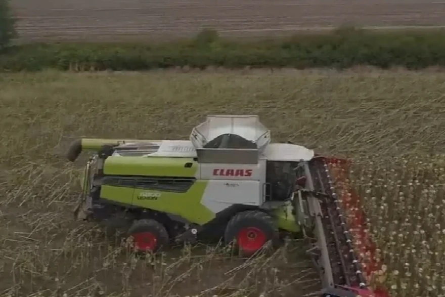 Claas Lexion 6800 + heder od 18 redova ‒ Parta, Banat 